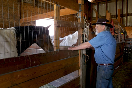 Photo of Danny Horton standing with horses in a barn