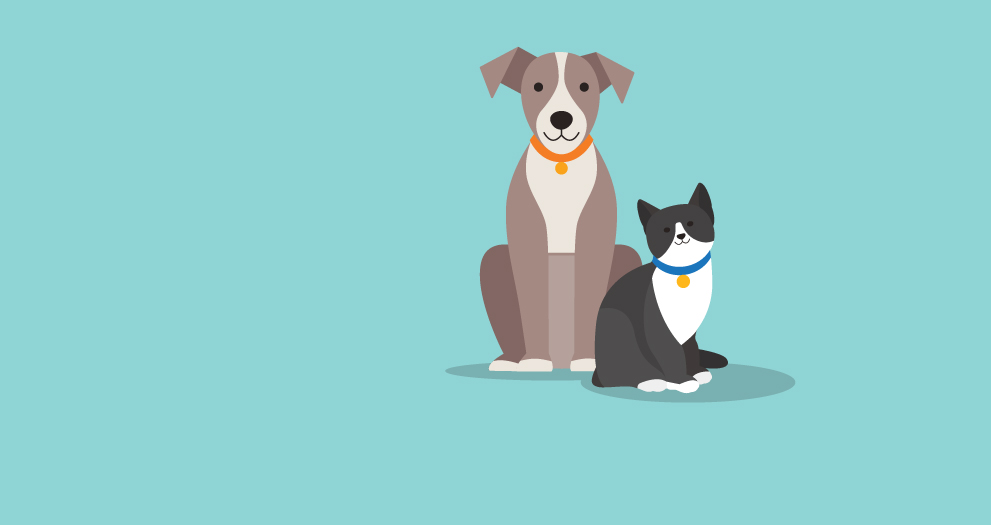 An illustration of a pet dog and cat.