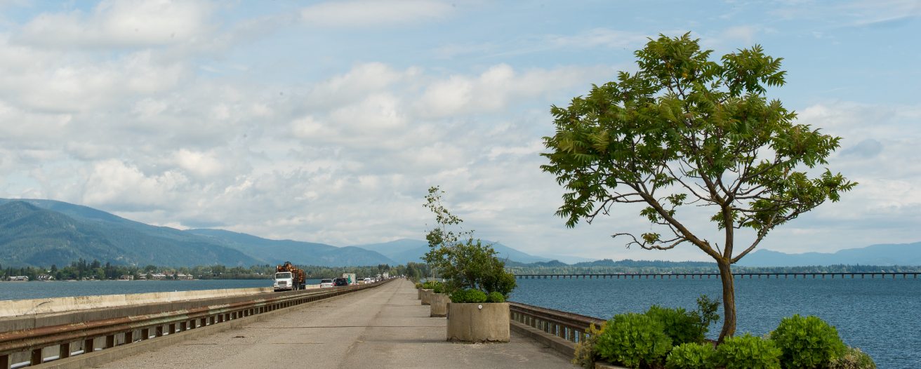 Photo of a walking bridge